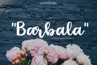Barbala: A Designer’s Take on Modern Script