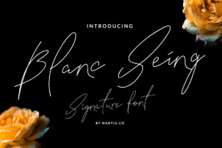 Blanc Seing Font: Elevate Your Small Business Brand