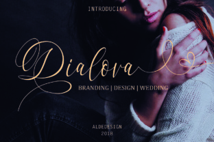 Dialova Font: Adding Elegance to Brand Identity Design