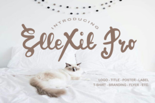 ElleXit Pro Font: Editorial Ease for Modern Layouts
